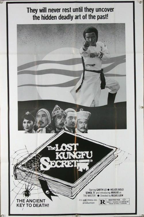 The Lost Kung Fu Secrets 1979 official movie poster