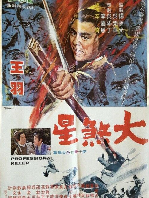 The Professional Killer 1971 official movie poster