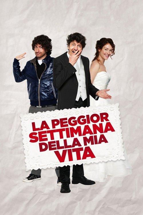 The Worst Week of My Life 2011 official movie poster