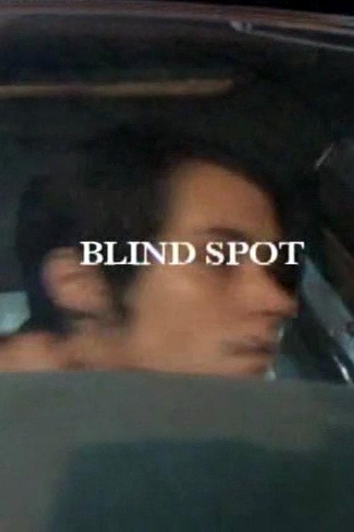 Blind Spot 2009 official movie poster