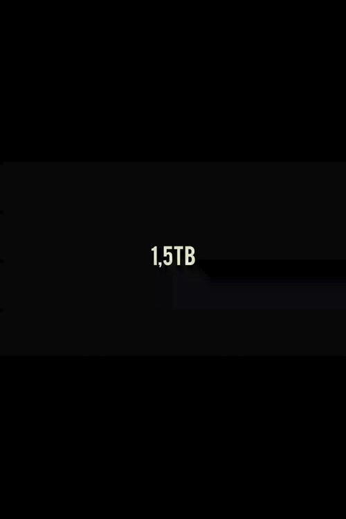 1,5TB 2013 official movie poster
