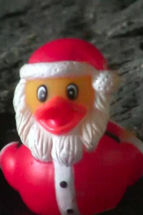 Duck Santa 2025 official movie poster