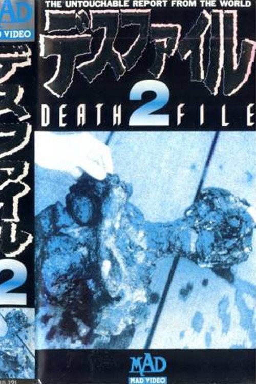 Death File 2 1989 official movie poster