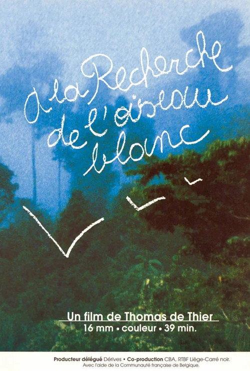 A la recherche de l'oiseau blanc 1996 official movie poster