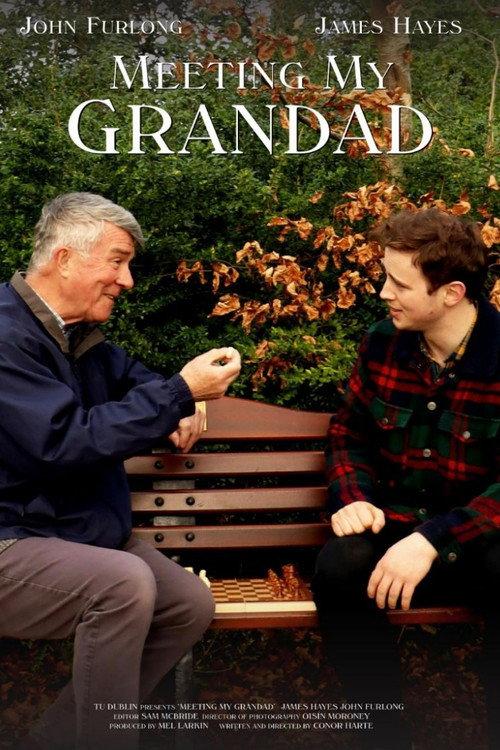 Meeting My Grandad 2025 official movie poster