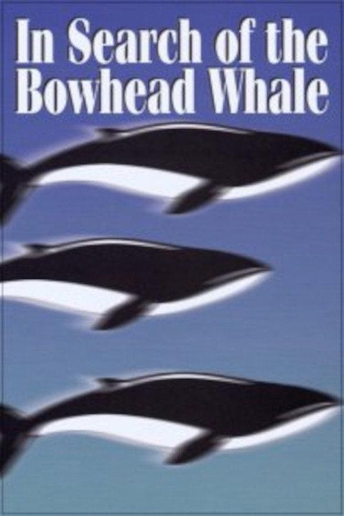 In Search of the Bowhead Whale 1974 official movie poster
