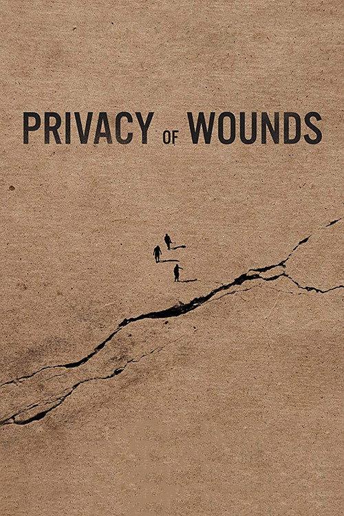 Privacy of Wounds 2018 official movie poster