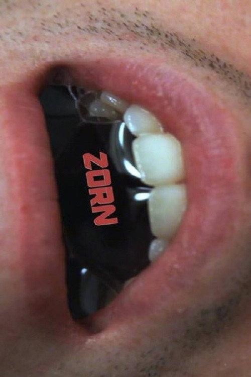 Zorn 2015 official movie poster