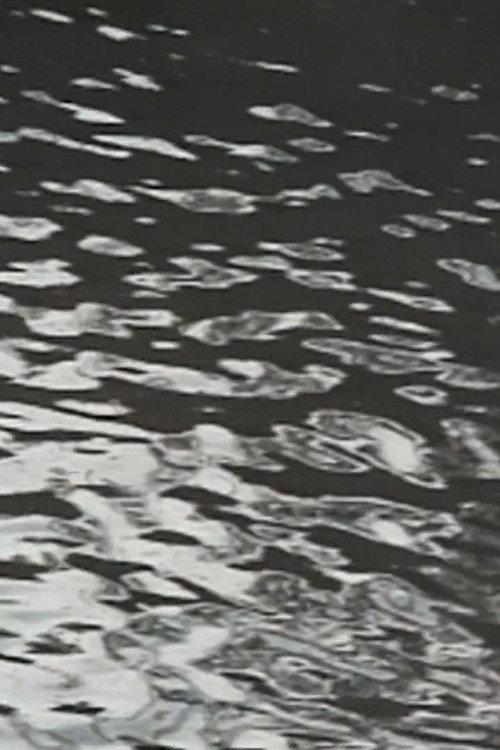Waterside 1996 official movie poster