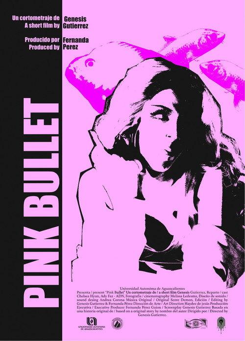 Pink Bullet 2023 official movie poster