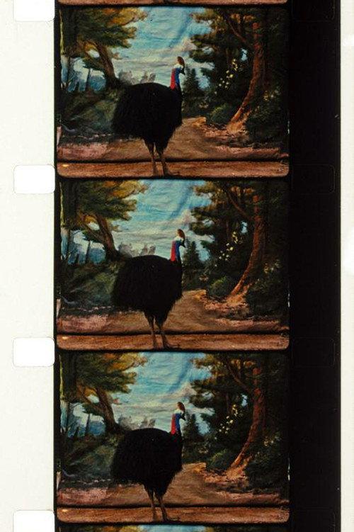 Cassowary 2010 official movie poster