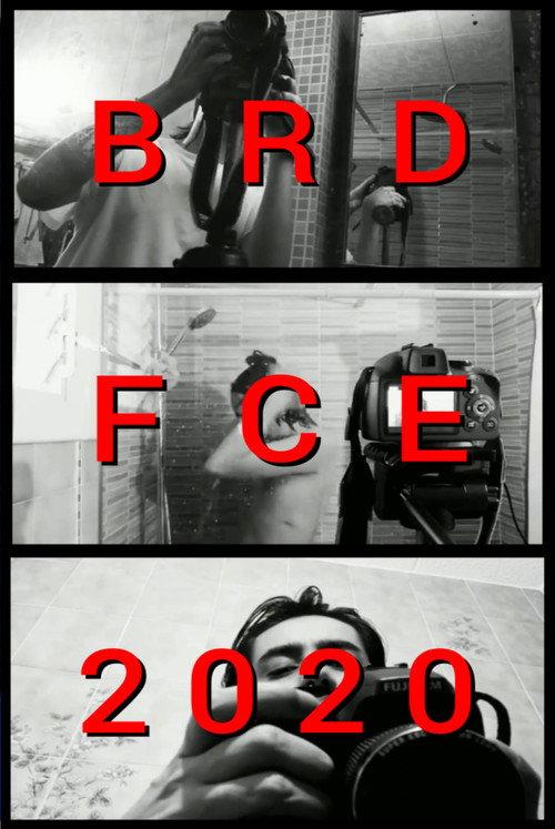 BRDFCE2020 2020 official movie poster