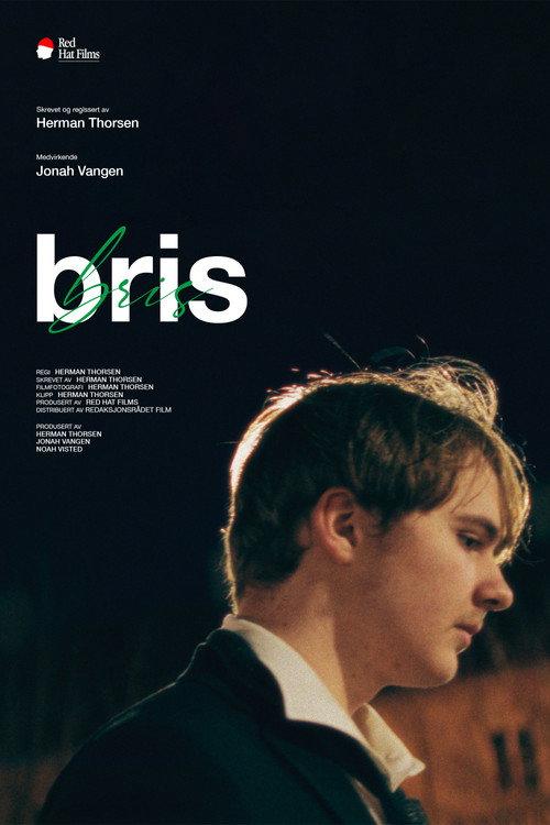 Breeze 2024 official movie poster