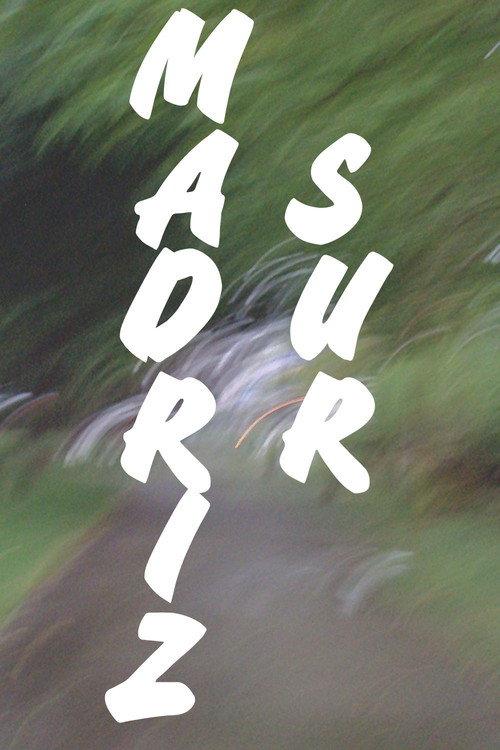 MADRIZ SUR  official movie poster