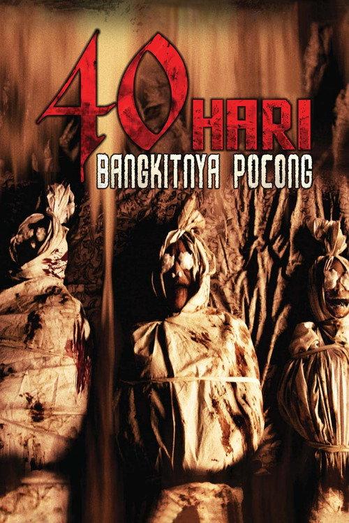 40 Hari Bangkitnya Pocong 2008 official movie poster