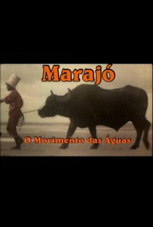 Marajó: A Origem das Águas 2010 official movie poster
