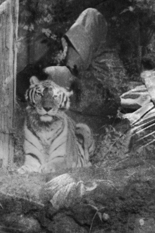 The Horrible Thirty: Me, My Father and Richard the Tiger 2018 official movie poster