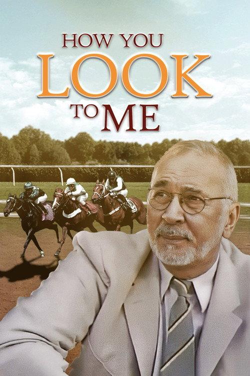 How You Look to Me 2005 official movie poster