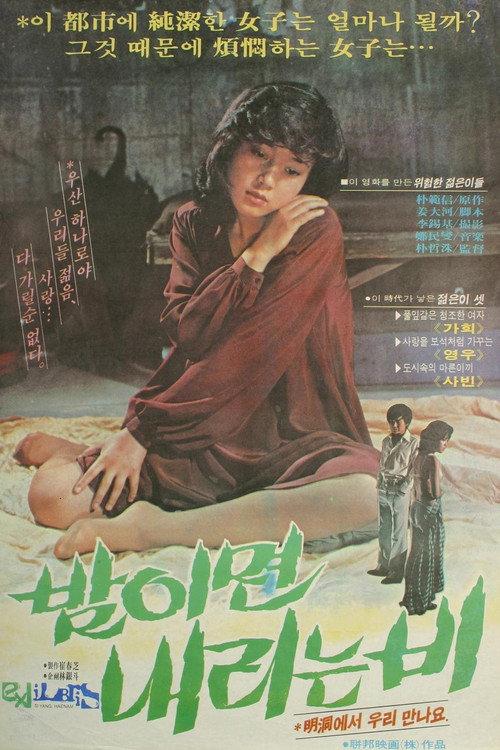 The Rain at Night 1979 official movie poster