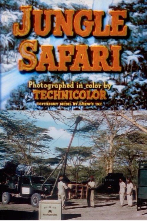 Jungle Safari 1950 official movie poster