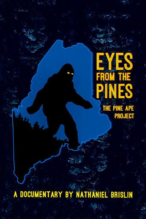 Eyes from the Pines 2021 official movie poster