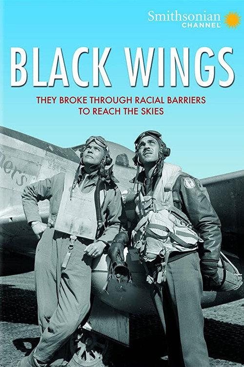 Black Wings 2012 official movie poster