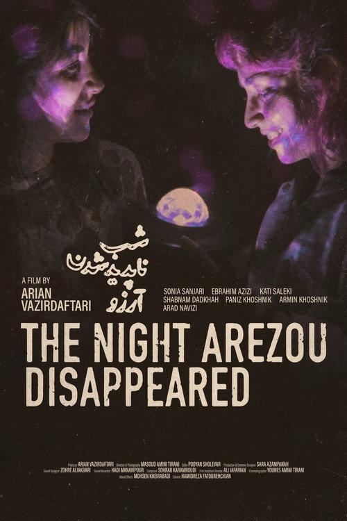The Night Arezou Disappeared 2026 official movie poster
