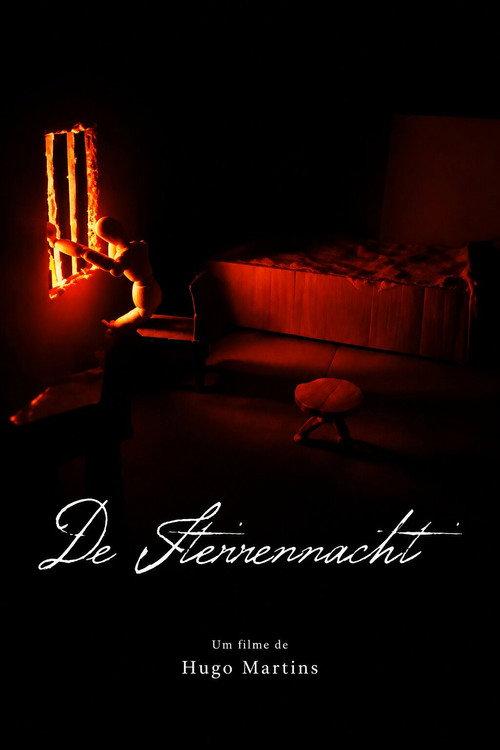De Sterrennacht 2020 official movie poster