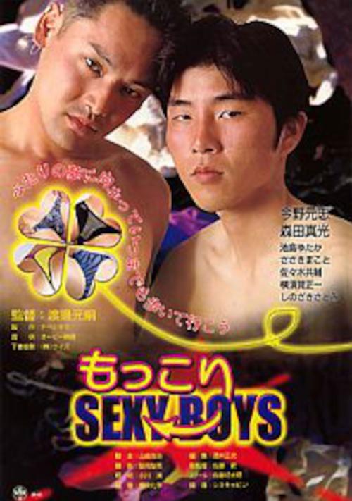 Fluffy Sexy Boys 2001 official movie poster
