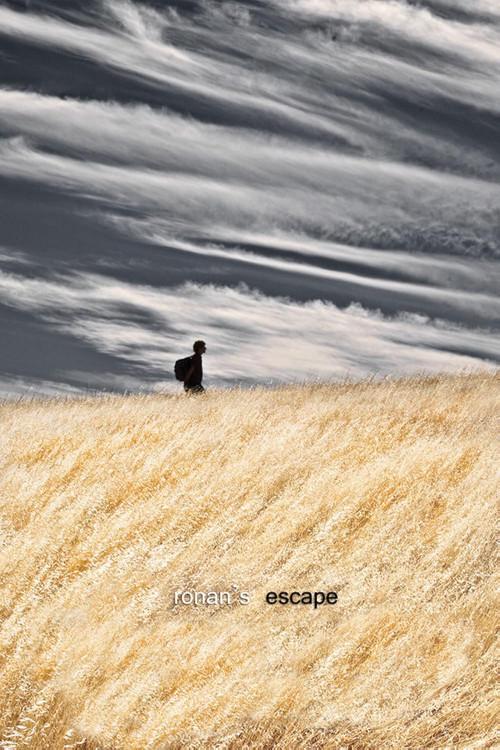 Ronan's Escape 2010 official movie poster