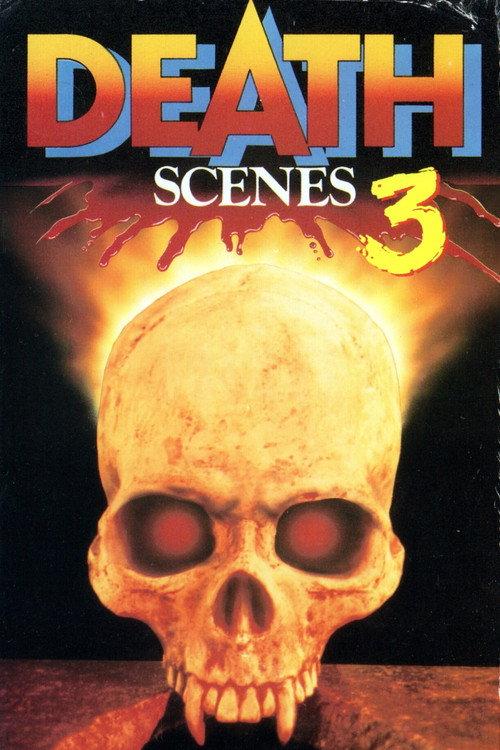 Death Scenes 3 1993 official movie poster