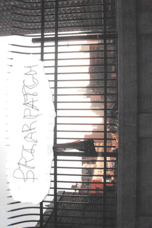 Briarpatch 2019 official movie poster
