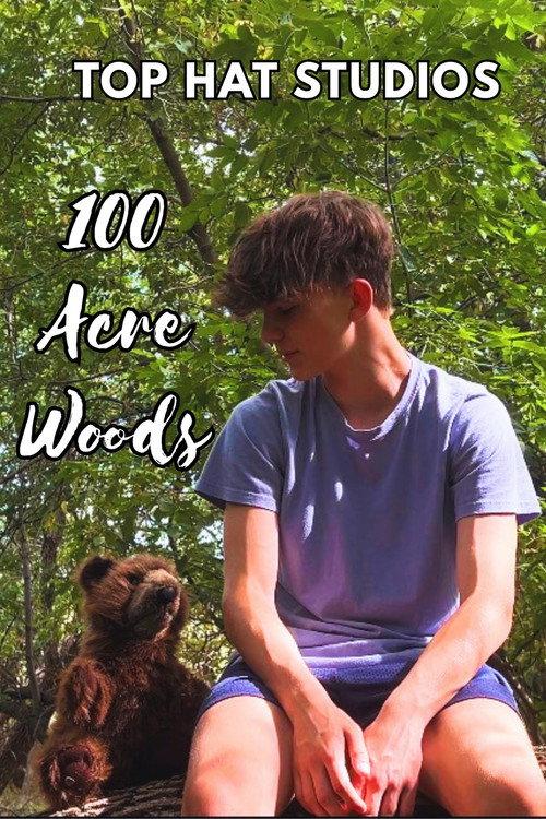 100 Acre Woods 2027 official movie poster