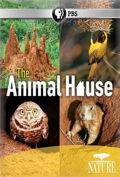 The Animal House 2011 official movie poster