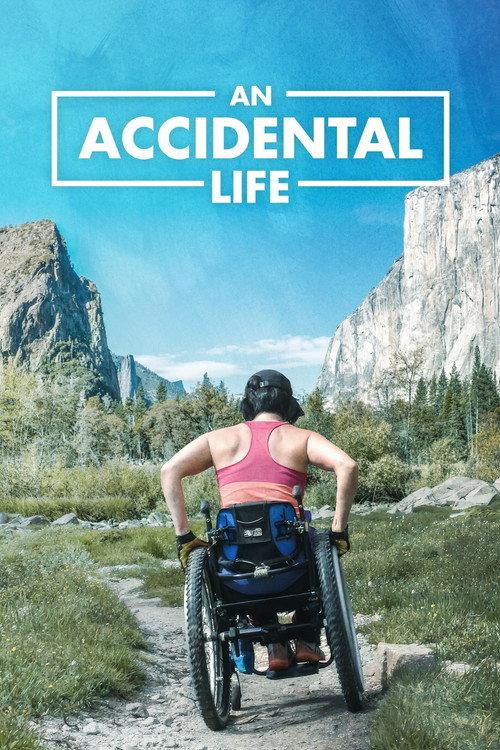 An Accidental Life 2022 official movie poster