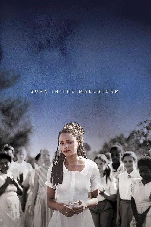 Born in the Maelstrom 2017 official movie poster