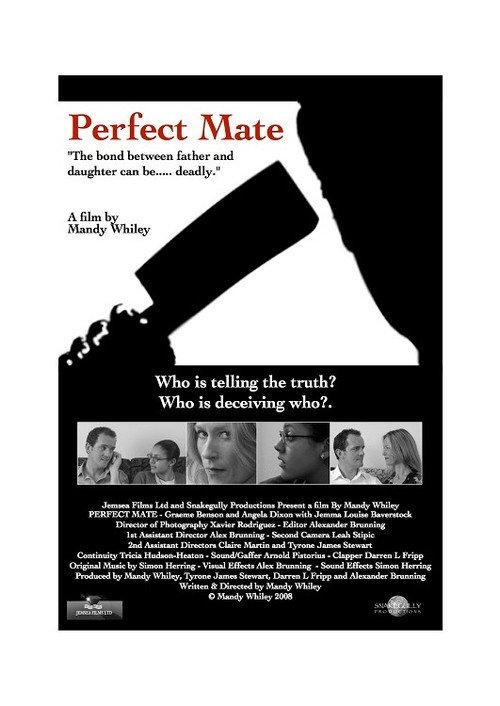Perfect Mate 2009 official movie poster
