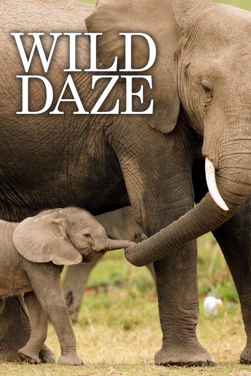 Wild Daze 2020 official movie poster