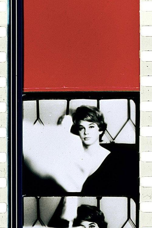 Schwechater 1958 official movie poster