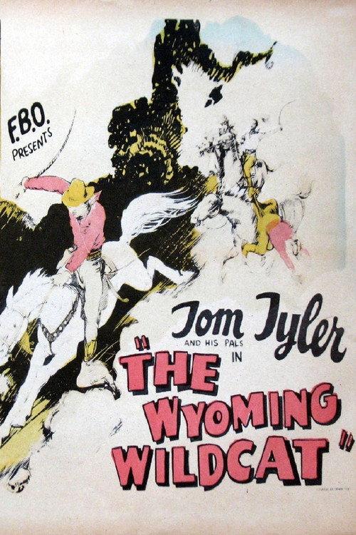 The Wyoming Wildcat 1925 official movie poster
