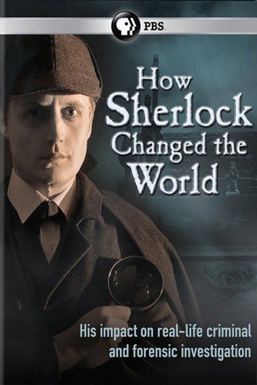 How Sherlock Changed the World 2013 official movie poster