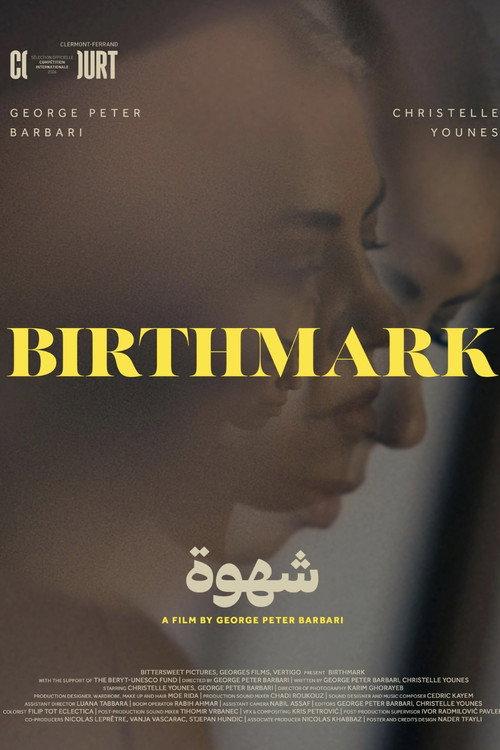 Birthmark 2026 official movie poster