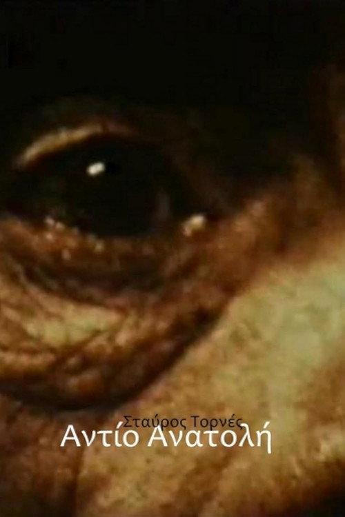 Addio Anatolia 1976 official movie poster