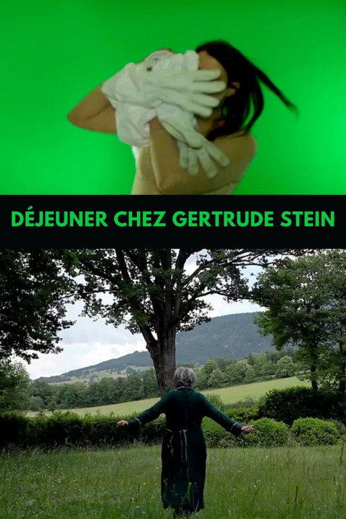 Lunch with Gertrude Stein 2013 official movie poster