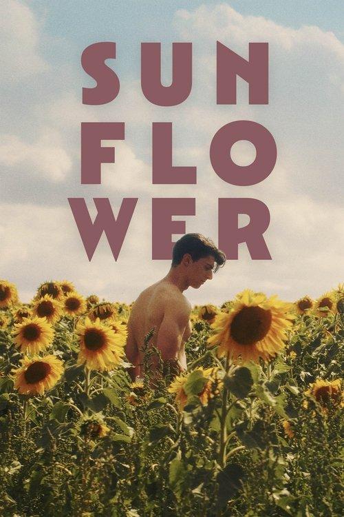 Sunflower 2024 official movie poster