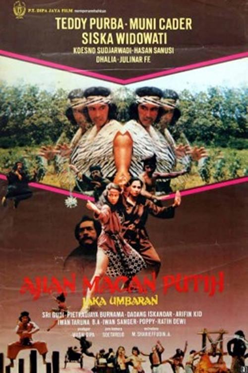 Charm of the White Tiger 1982 official movie poster
