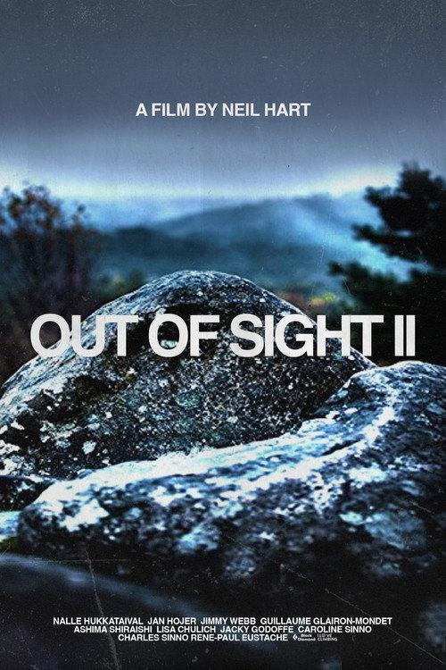 Out of Sight II 2014 official movie poster