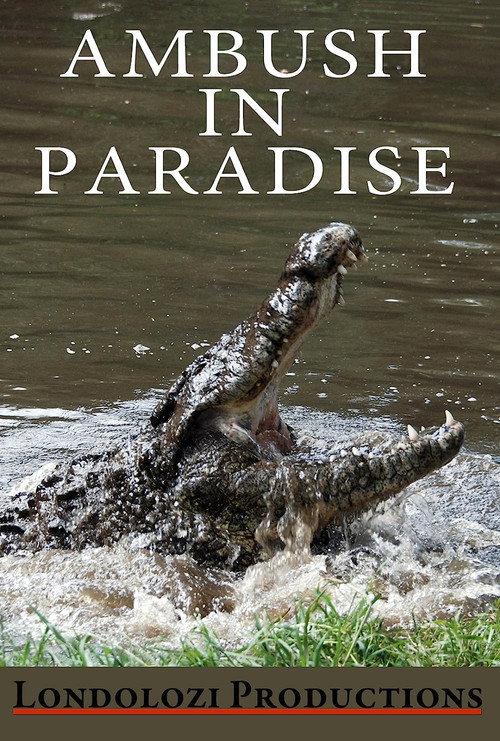 Ambush in Paradise 1999 official movie poster