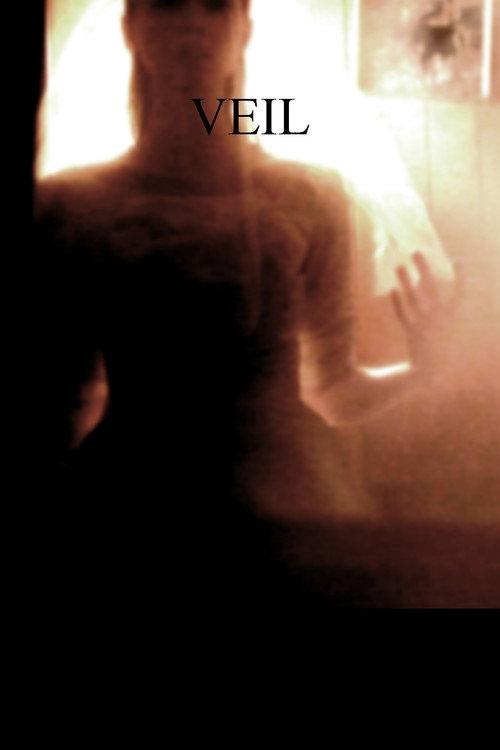 Veil 2014 official movie poster