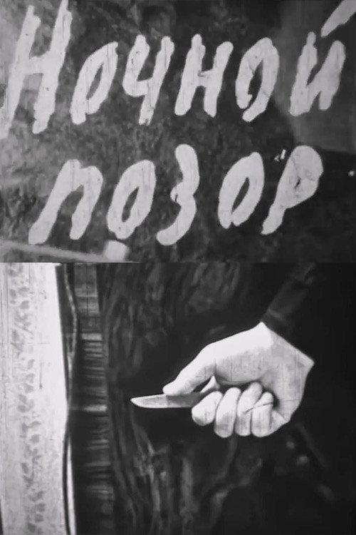 Nocturnal Shame 1964 official movie poster